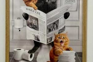 Chayka Home Hotel 37