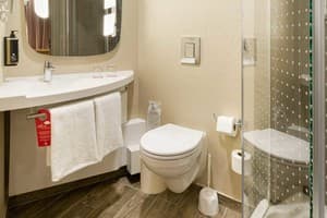 Ibis Kyiv Railway Station 5