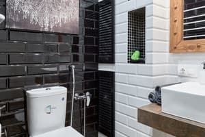 Киев-Центр ул. Большая Васильковская,54 №34 5