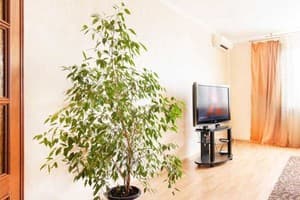 Однокомнатная, ул. Княжий Затон, 21 2