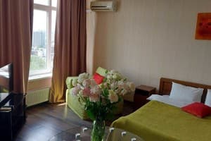 Студия с невероятным видом 2