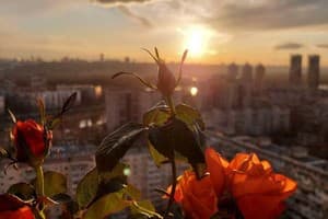 Студия с невероятным видом 9