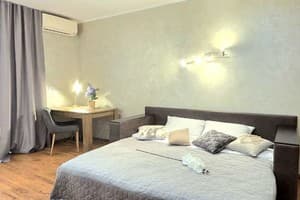 однокомнатная, ул. Левка Лукьяненко, 13А 3